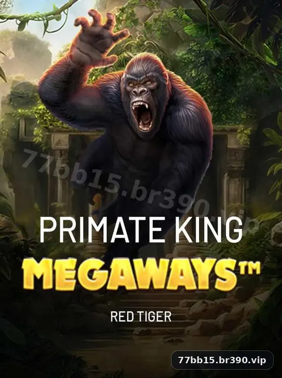 Imagem promocional da 77bb15 mostrando a plataforma e suas vantagens